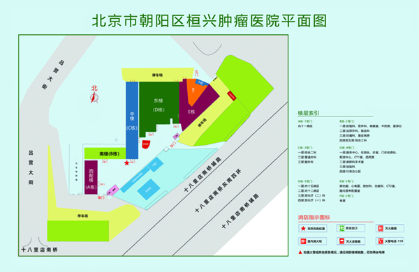 被农民工使劲艹电影北京市朝阳区桓兴肿瘤医院平面图